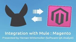 Magento Connector Demo | Integration with Mule