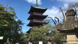 Free-to-Use Stock Footage of Japanese Building