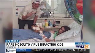 Rare mosquito virus impacting kids in Tennessee