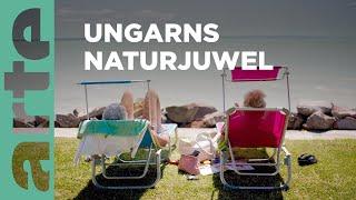 Ungarn: Der Balaton | Stille Wasser  | ARTE Family