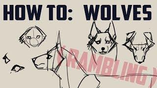 How to draw wolves! -basics- (me rambling)