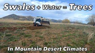 Swale + Water = Trees / How swales are built in high elevation mountain desert climate.