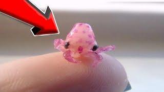 10 CUTE Animals That Can KILL YOU!