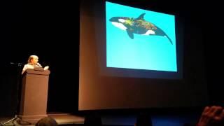 Superpod4: Dr. Ingrid Visser on "rescued" vs. rescued cetaceans; sanctuary discussion