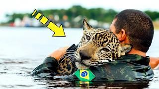 The soldier took a risk to save the drowning jaguar, but then the unthinkable happened!