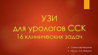 16 задач по УЗИ для урологов ССК