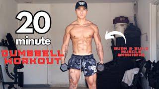 20 MINUTE FULLBODY DUMBBELL WORKOUT // everyday routine to burn fat & build muscle pt 2 (30days)