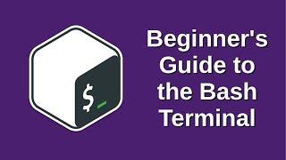 Beginner's Guide to the Bash Terminal