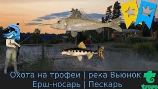Охота на трофеи | река Вьюнок | Легендарный Ерш-Носарь + Пескарь | Русская Рыбалка 4