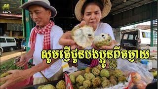 387.រដូវផ្លែទៀបនៅភូមិខ្ញុំ លោកគ្រូទិញផ្លែទៀបផ្ញើទៅប្អូនៗគាត់ Life in the Cambodian Countryside.