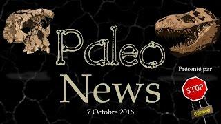 Paleonews 4- le mystère de Piltdown, anthropocène et extinction