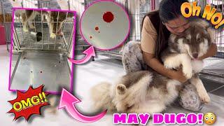 What Happened To Chanel?! | DUGUAN SYA! | Husky Pack TV