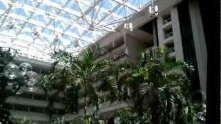 № 596  США Мой Любимый Аэропорт Orlando Airport MCO Fl