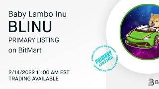 Baby Lambo Inu Listing  Bitmart Exchange 14 February 2022 Baby Lambo Inu Price Big Pump