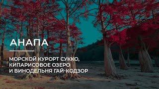 Анапа: куда сходить и где отдохнуть. Морской курорт Сукко, Кипарисовое озеро и Винодельня Гай Кодзор