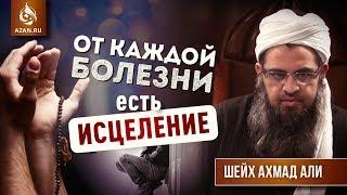 От каждой болезни есть исцеление - Шейх Ахмад Али | AZAN.RU