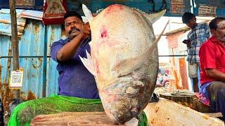 KASIMEDU  SPEED SELVAM | 17 KG BIG TREVALLY FISH CUTTING VIDEO | IN KASIMEDU | FF CUTTING 