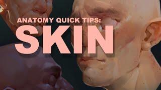 Anatomy Quick Tips: Skin