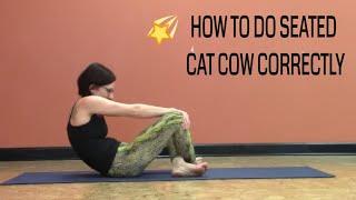 How to do Seated Cat Cow the Right Way | Asana Video Library for Yoga Teachers & At-Home Yoga