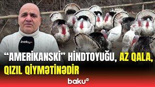 Ağzı bir dəqiqə dayanmır... | Hindtoyuğunun qiyməti niyə bu qədər bahalaşdı?