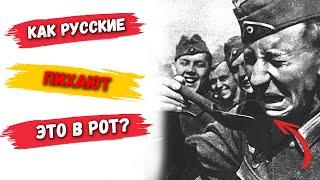 Какие продукты немцы не решались брать у советских граждан, когда грабили деревни и сёла?