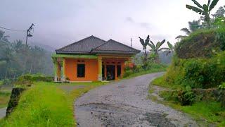 Walking on a rainy day in a beautiful and peaceful village|Sukabumi| West Java|Indonesia