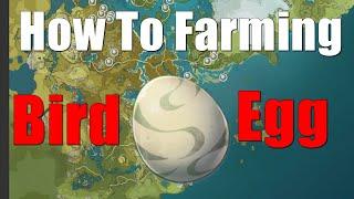 The Best Locations To Farm Bird Egg In Genshin Impact