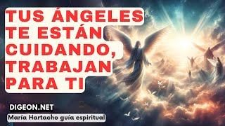 LOS ÁNGELES TE FAVORECENMENSAJE DE LOS ÁNGELES PARA TI -DIGEON- Arcángel Gabriel - Enseñanza VERTI