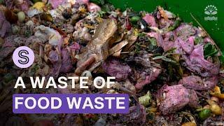 Govt scraps food waste collection - but are they wasting a valauble recource? | Stuff.co.nz