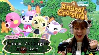 Hunting for my Dream Villager in Animal Crossing!