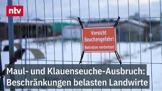 Maul- und Klauenseuche-Ausbruch: Beschränkter Fleischhandel belastet deutsche Landwirte | ntv