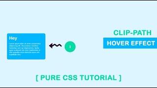 CSS Clip-path Transition Hover Effect - HTML CSS Clip-path Hover Effect