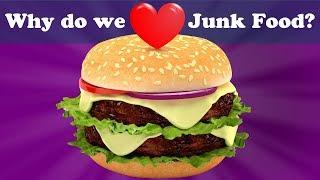 Why do we Love Junk Food? + more videos | #aumsum #kids #science #education #children