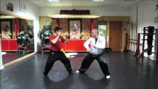 Choy Lay Fut - Medley Fighting Techniques #1  (蔡李佛 - 德 尼 蒂  斯 功 夫 )