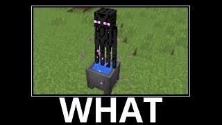 WAIT WHAT (Minecraft) #9