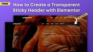 How to Create a Transparent Sticky Header in WordPress with Elementor