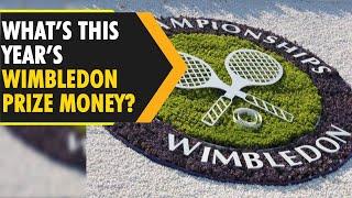 Wimbledon to give this whopping prize money to this year’s winner | WION Originals