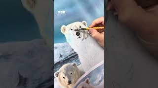 Such cute faces  Stunning polar bear artwork from Studio Wildlife for Frozen Planet II. #iPlayer