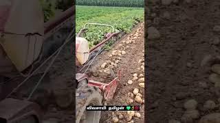 யாருக்கு விவசாயம் பிடிக்கும் கமெண்ட் பண்ணுங்க #agriculture #farming #vivasaya #vivasaayi #shots