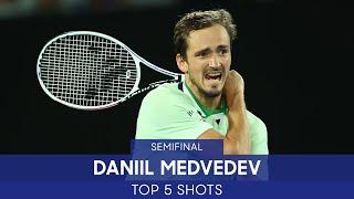 Daniil Medvedev | Top 5 Shots (SF) | Australian Open 2022