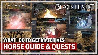 My Beginner Horse Guide - How to get a T9 & Materials | Black Desert