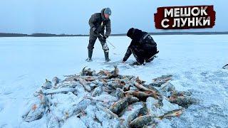 МЕШОК рыбы с ЛУНКИ! ДИКОЕ озеро ЗАТЕРЯНОЕ в ЯКУТСТКОЙ ТАЙГЕ