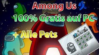  AMONG US KOSTENLOS AUF PC! + ALLE PETS GRATIS (TUTORIAL)