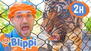 2 HOURS OF BLIPPI ANIMALS | Best Animal Videos for Kids | Educational Videos for Kids | Blippi Toys