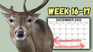 A Year in the Life of a Taxidermist! *WEEKS 16-17* December 23 - January 3