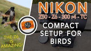 Nikon Z50 & Z6 with 300mm f4 PF + Teleconverters - A compact setup for Birds in Flight