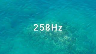 258Hz 바닷속 물소리 주파수 음악 3시간 | 조직 재생 | 세포 치유|집중력 향상 |정서적 안정 |신체적 치유 |명상|수면 개선 |휴식|주파수 소리 치료 음악 |