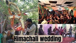 Himachal Wedding Ceremony  // Arrival of barat // The Himachali Culture ️ // Prince Chauhan Vlogs