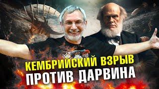 Кембрийский взрыв противоречит эволюции? | Ученые против мифов 21-4 | Андрей Журавлёв