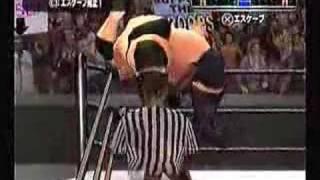 SvR2007 Female Bodybuilder vs The Fatman(request)